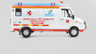Pet Ambulance