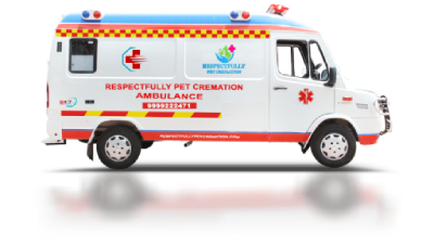 Pet Ambulance Van