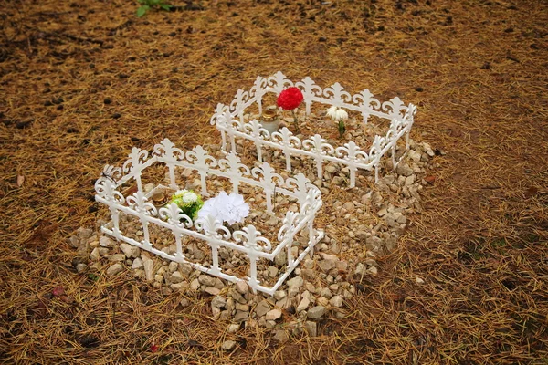 pet cremation