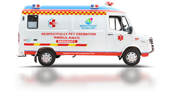 Home Pick-Up Ambulance