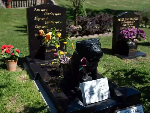 Pet Burial