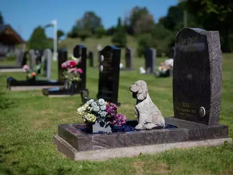 Dog Funerals with Flowers