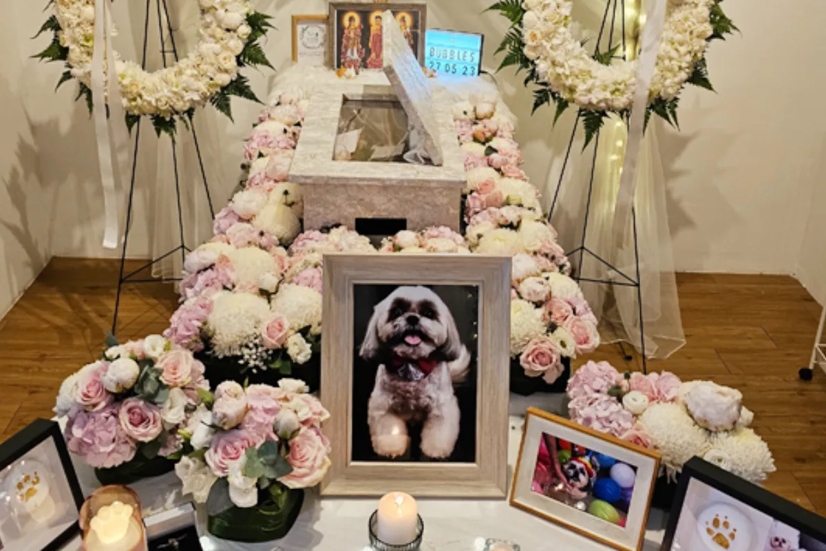 Dignified pet resting place