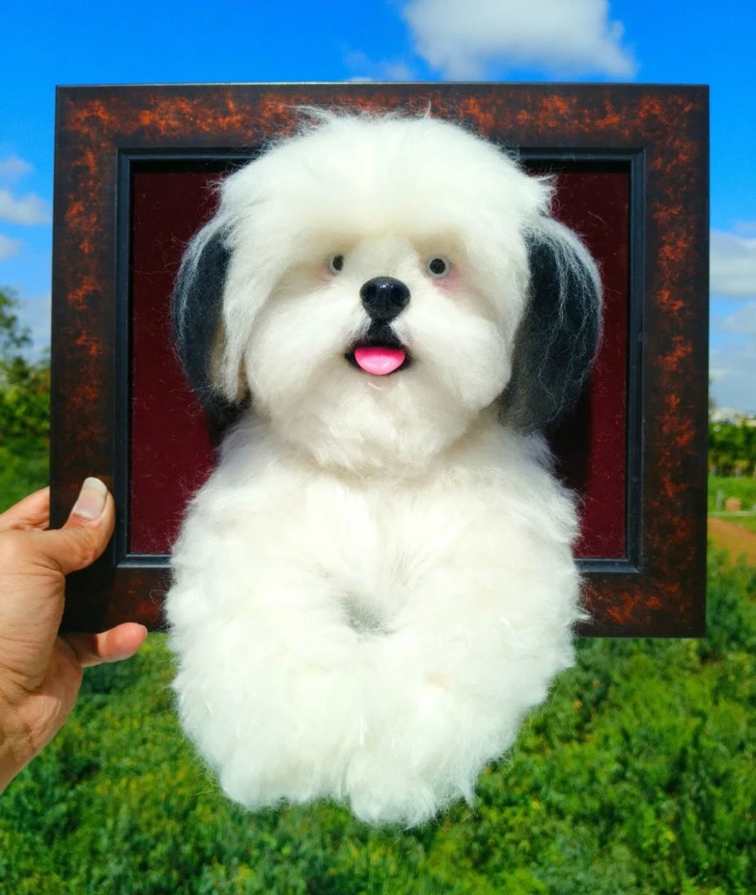 Pet Funeral